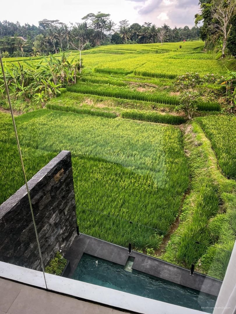 Villa singekerta ubud