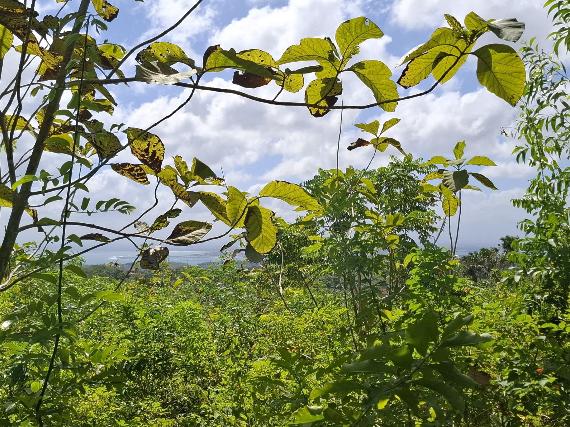 tanah premium pecatu