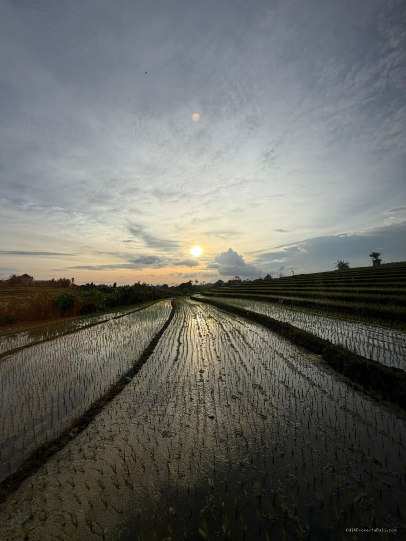 new brand villa pererenan