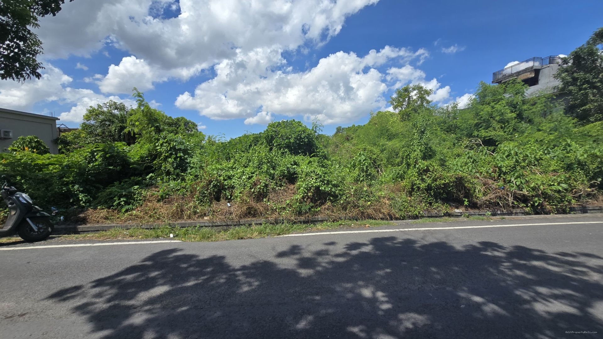 Tanah premium brawa bali