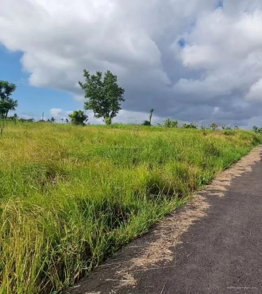 tanah premium seseh bali