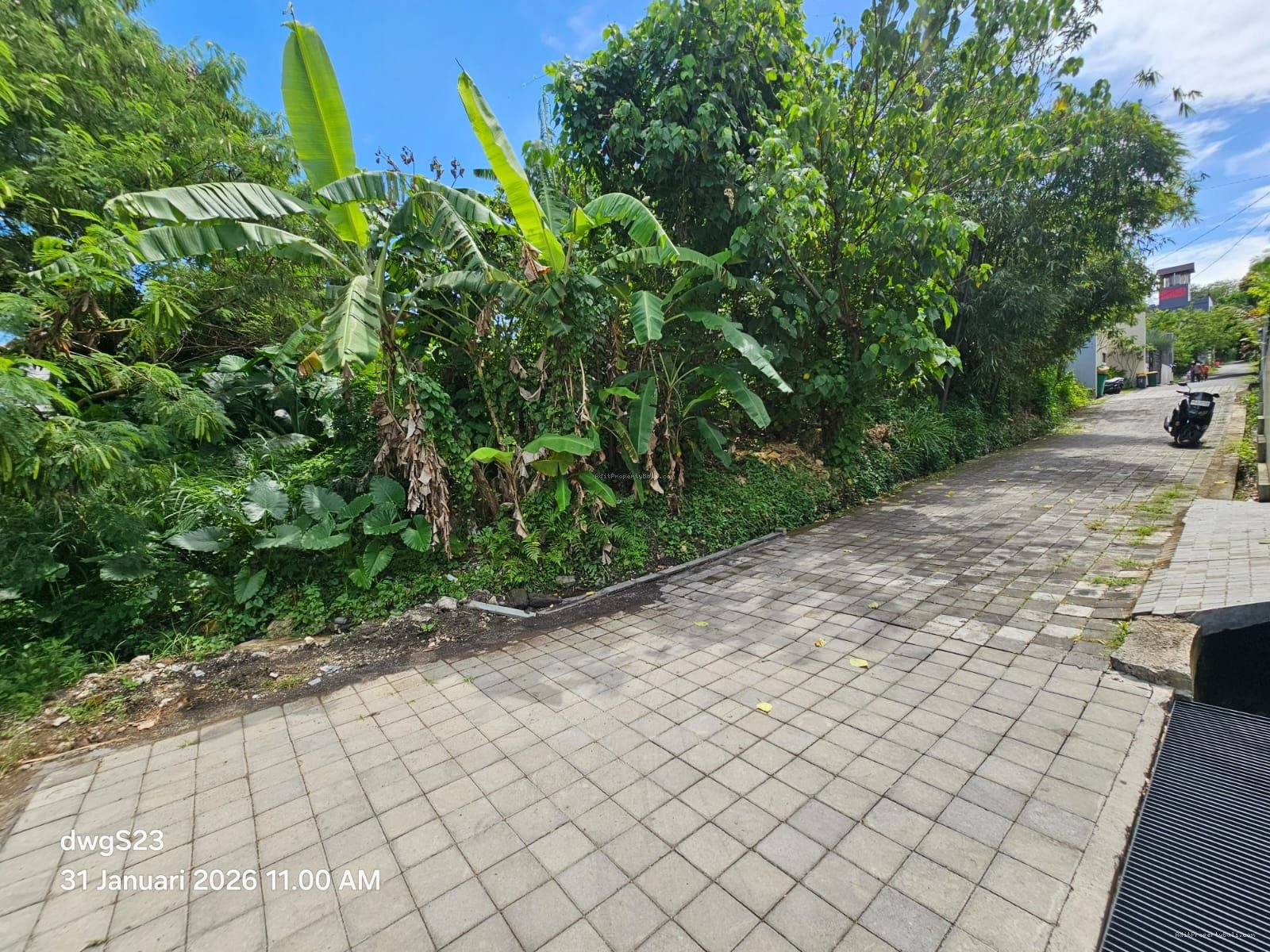 Tanah premium canggu