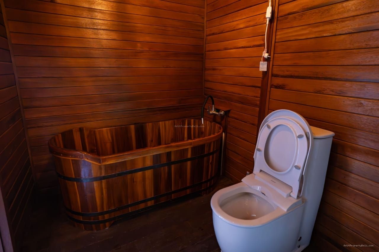 Villa view sawah ubud