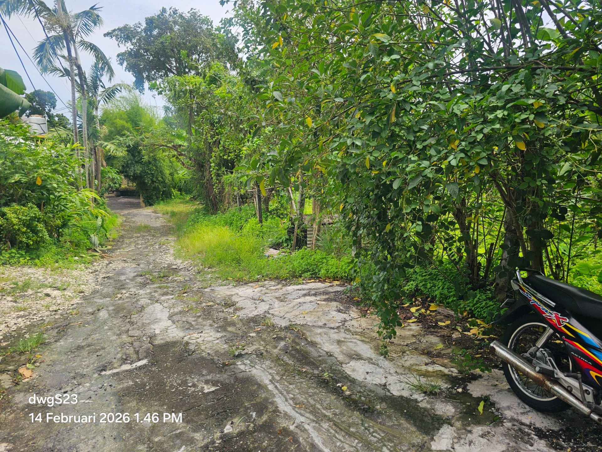 tanah umalas klecung