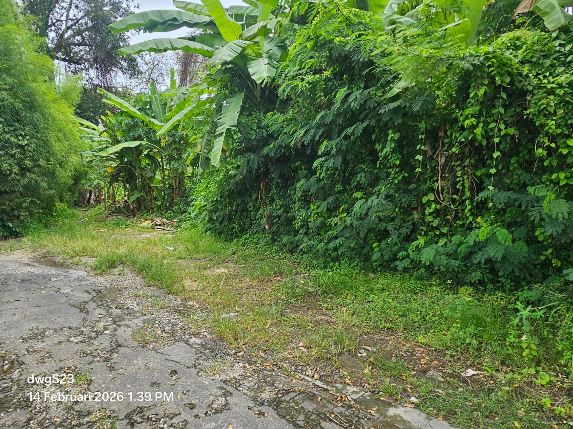 tanah umalas klecung