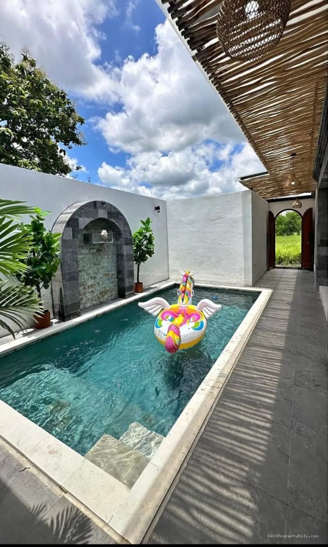 villa baru silungan ubud
