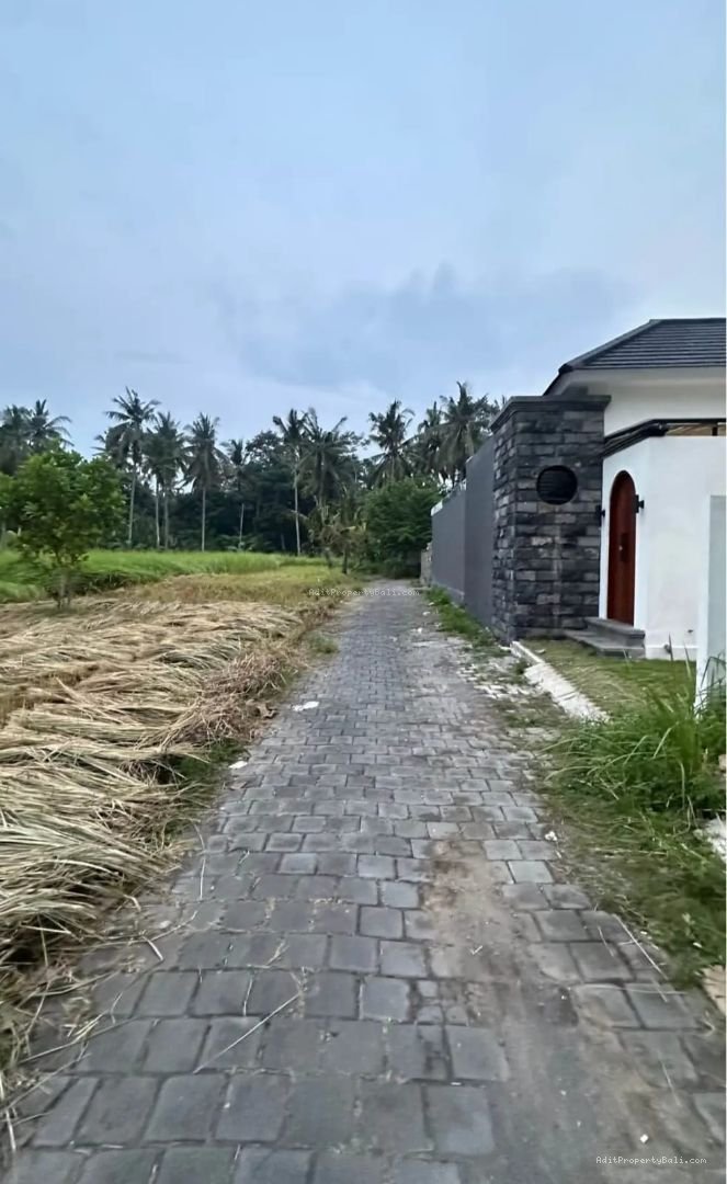 villa baru silungan ubud