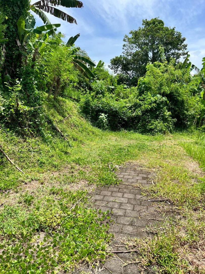 tanah nyanyi tabanan