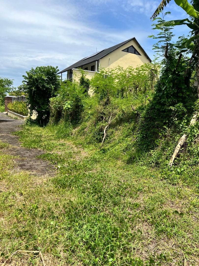 tanah nyanyi tabanan