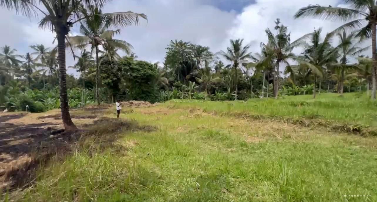 tanah payangan ubud