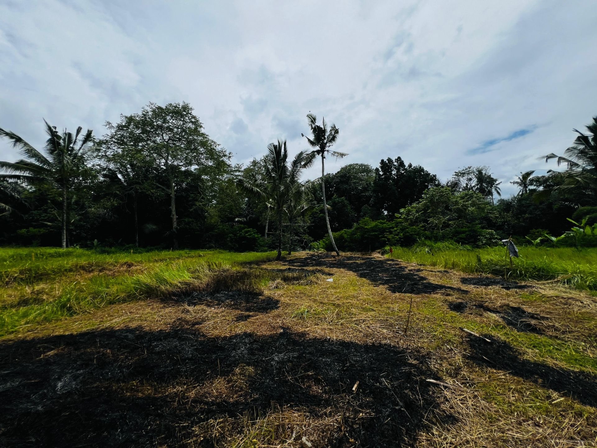 tanah payangan ubud