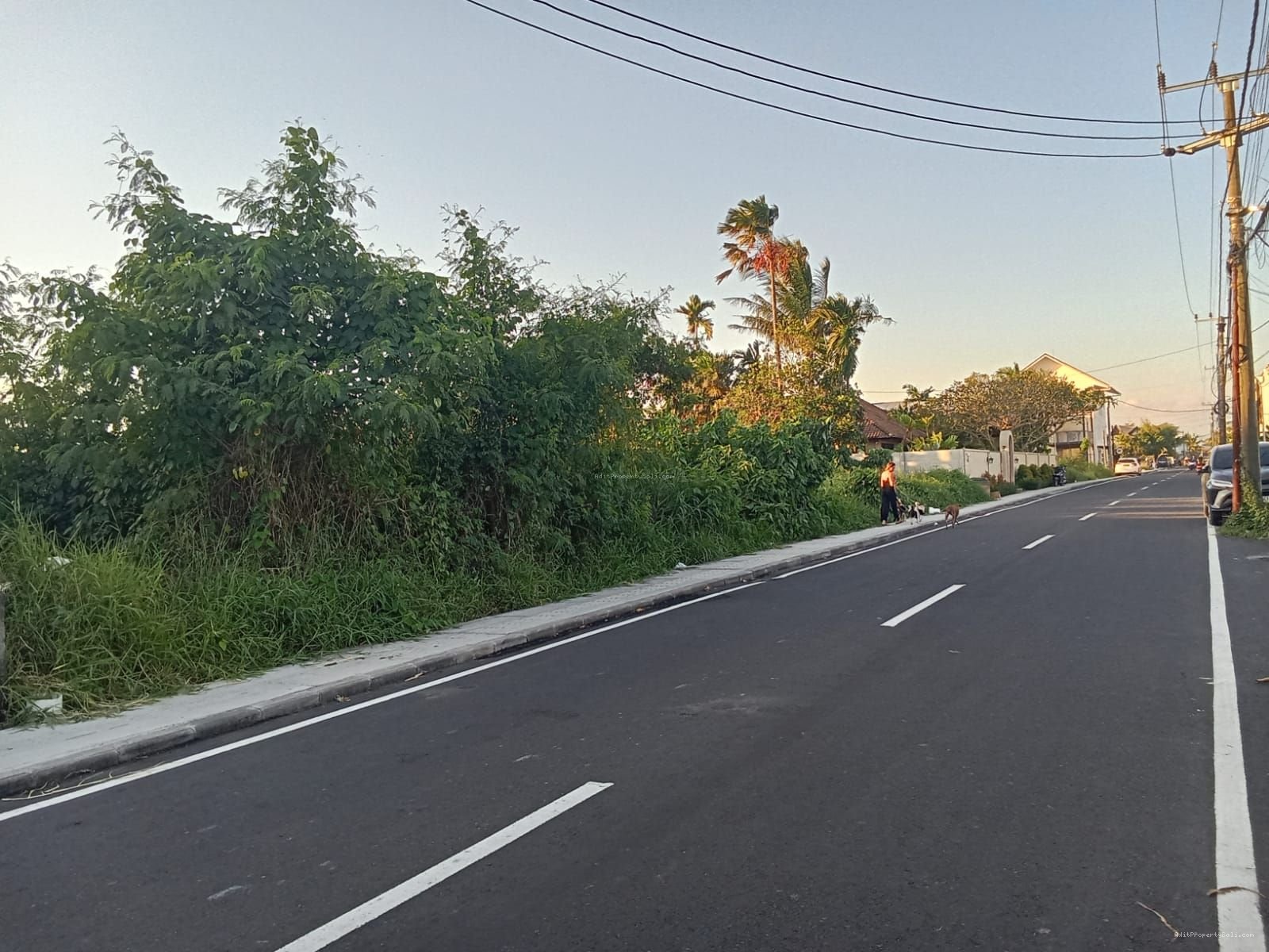 tanah premium cemagi bali