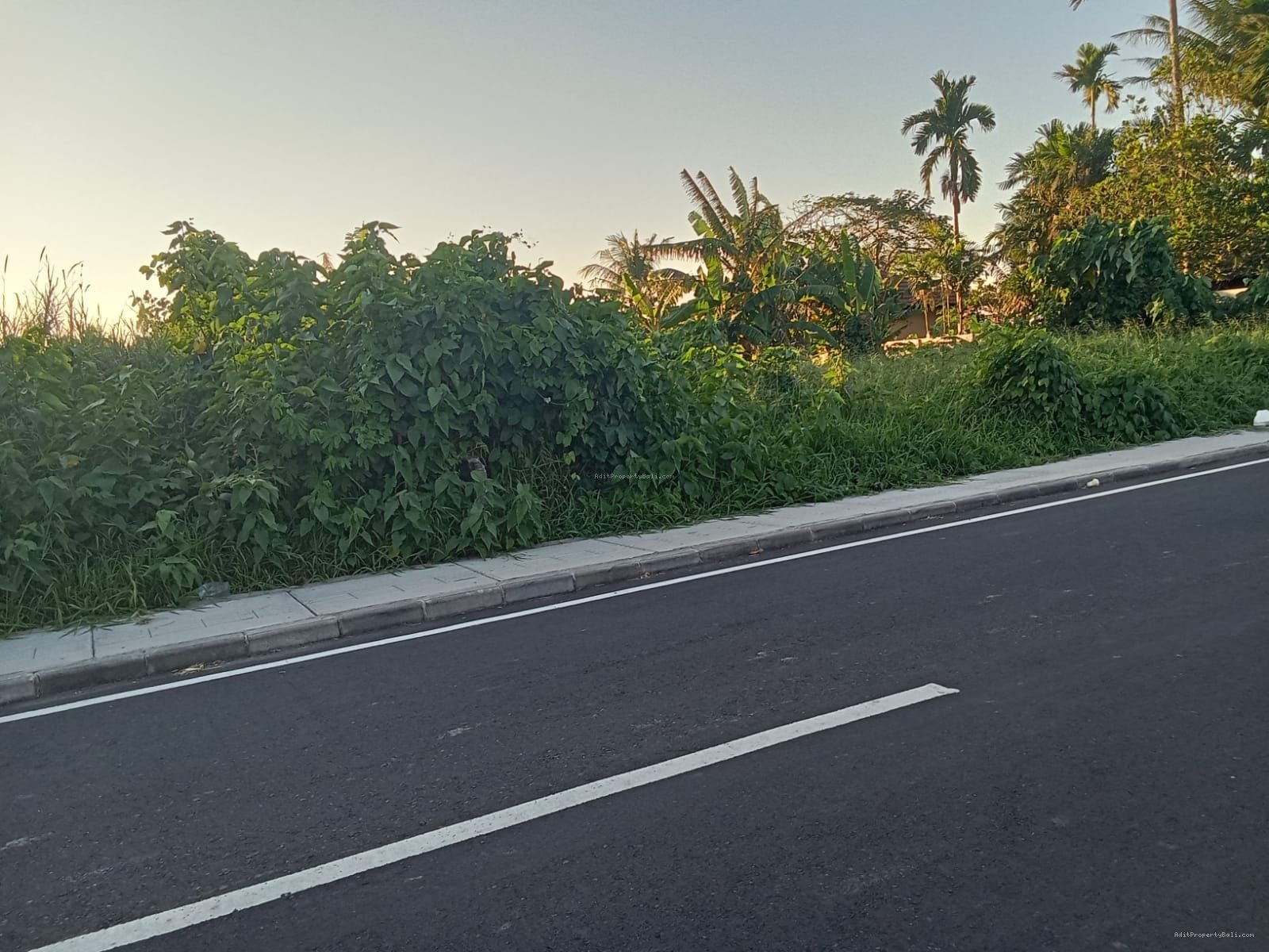 tanah premium cemagi bali