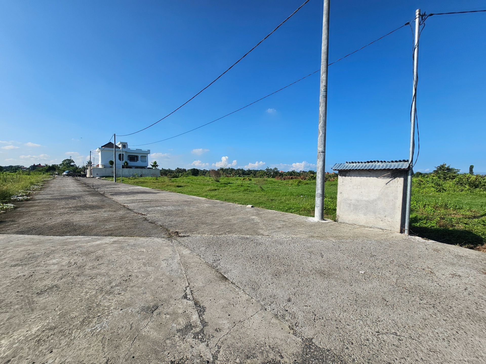 tanah kedungu B
