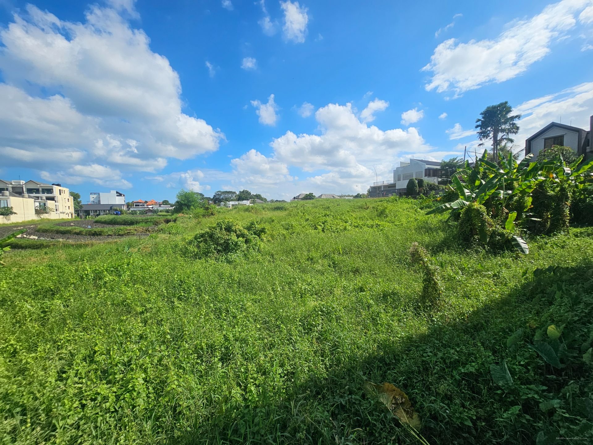 tanah brawa