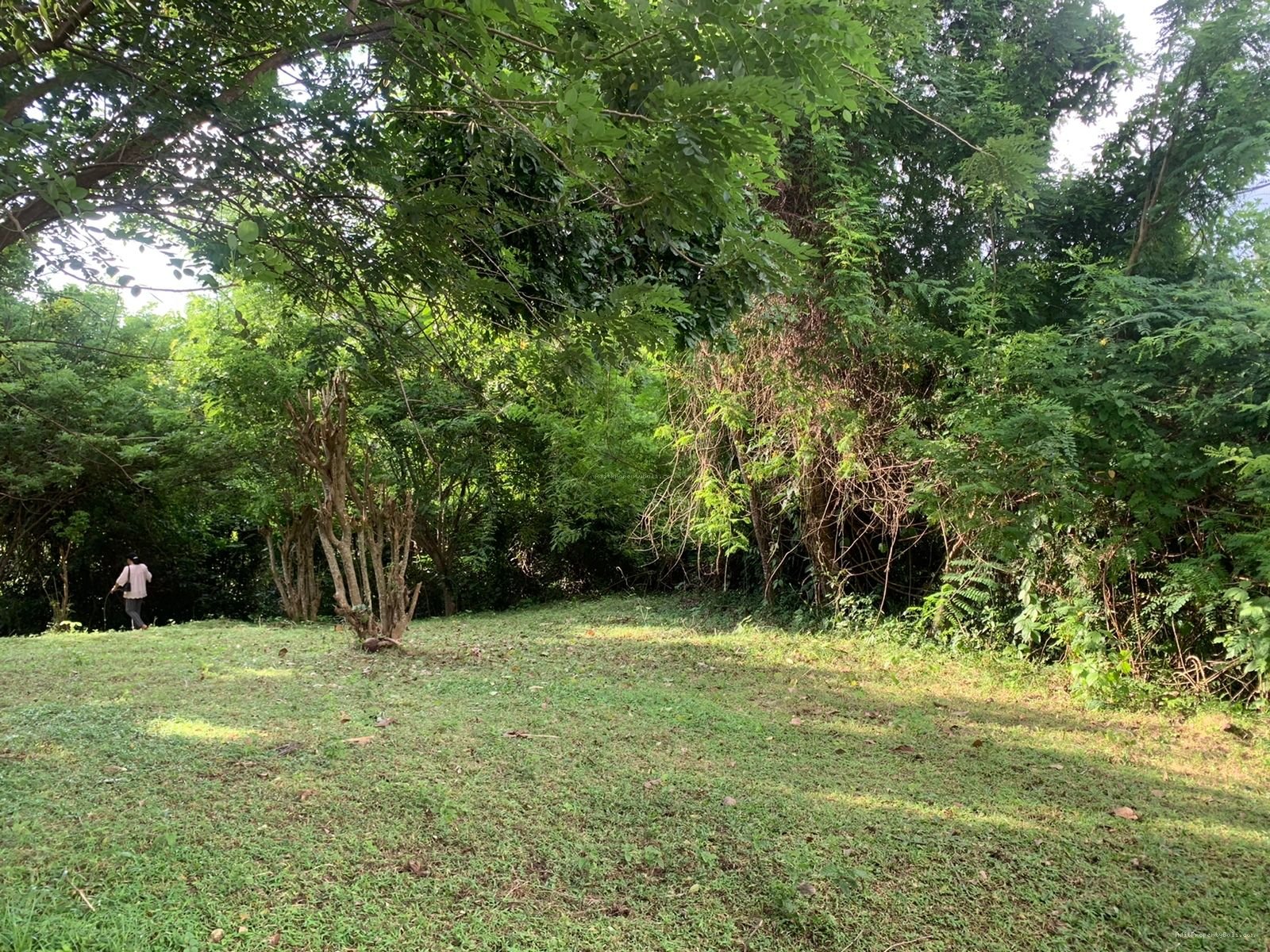 tanah boniann