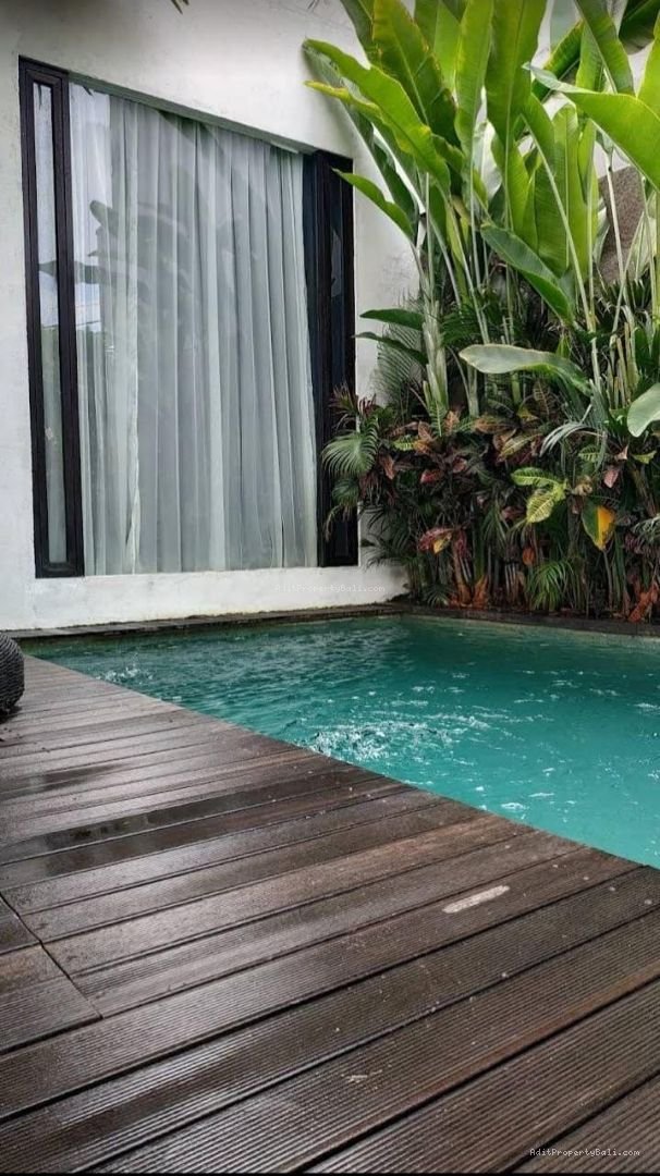 guest house canggu C