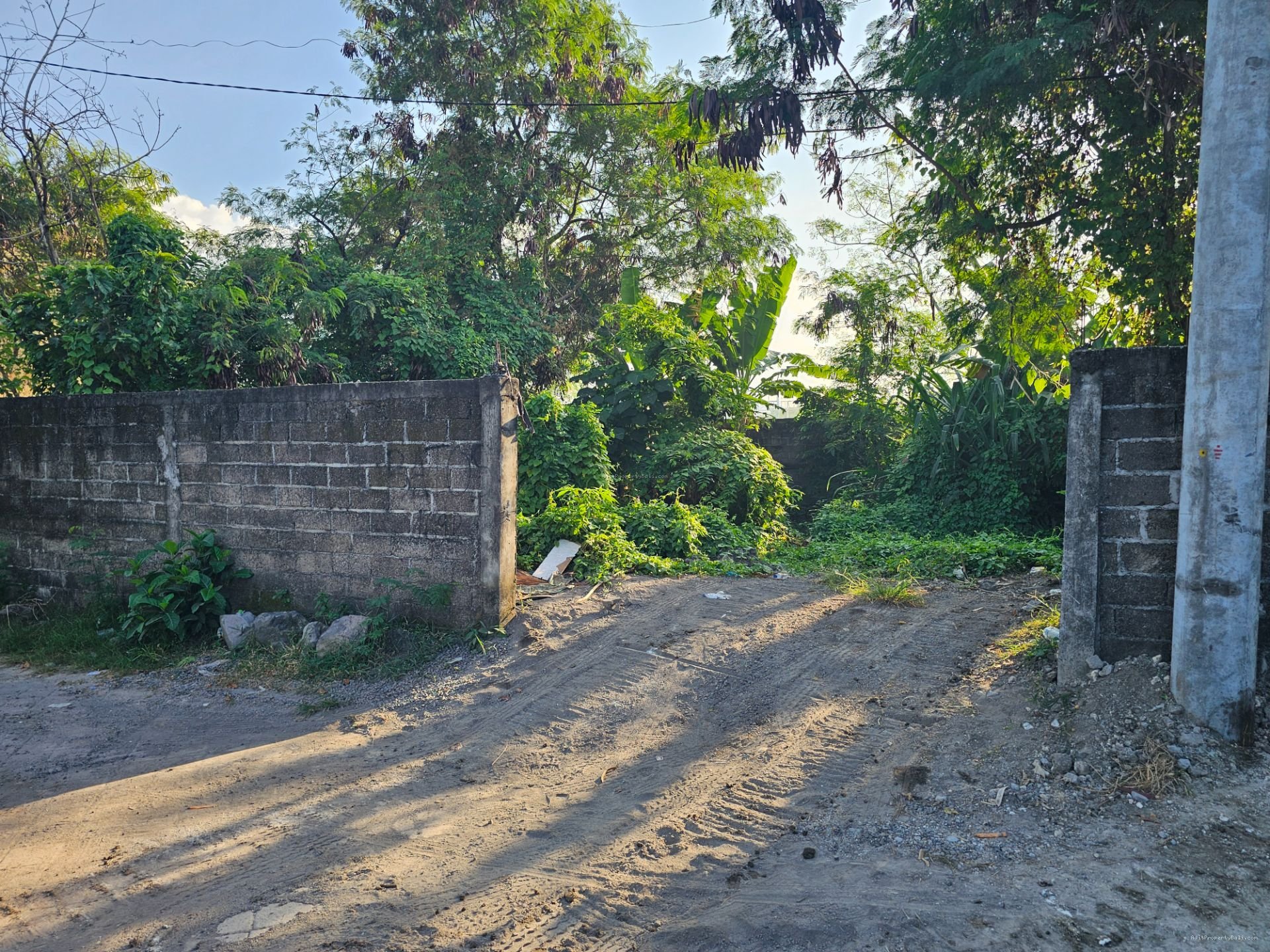 tanah padonan dlg