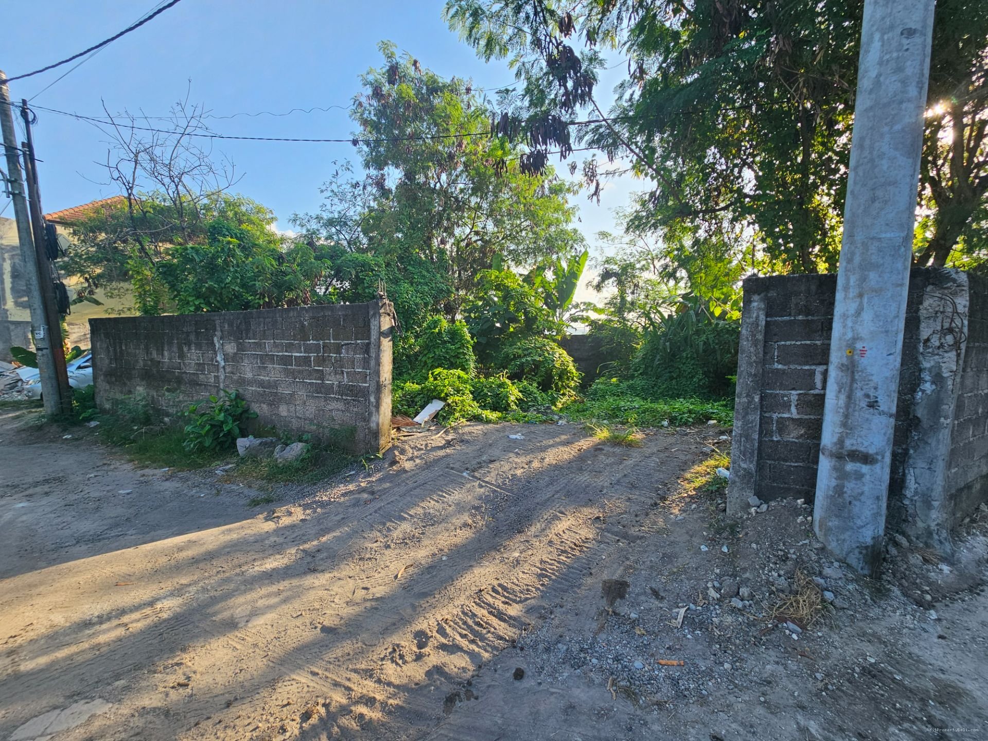 tanah padonan dlg