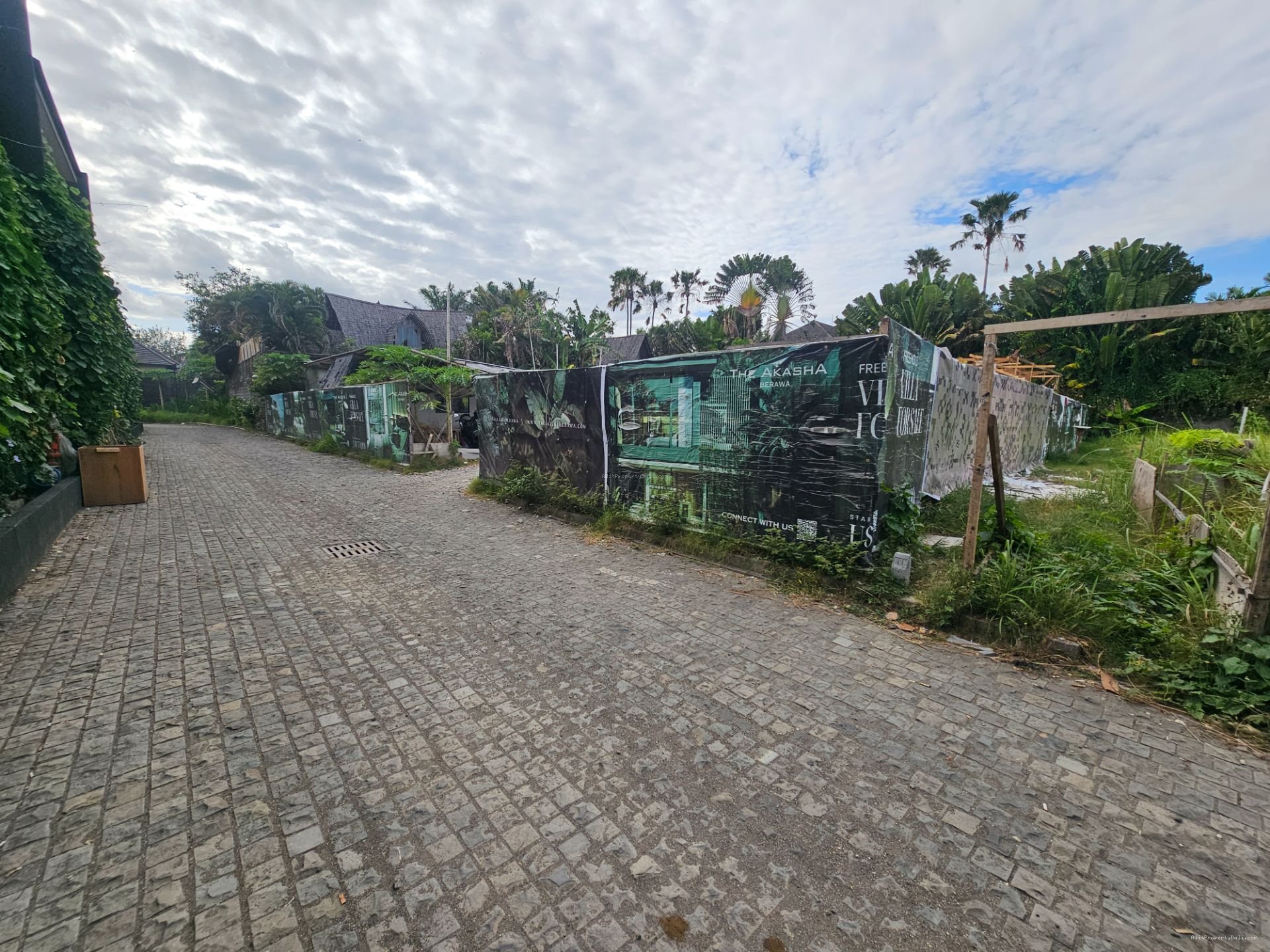 tanah berawa D