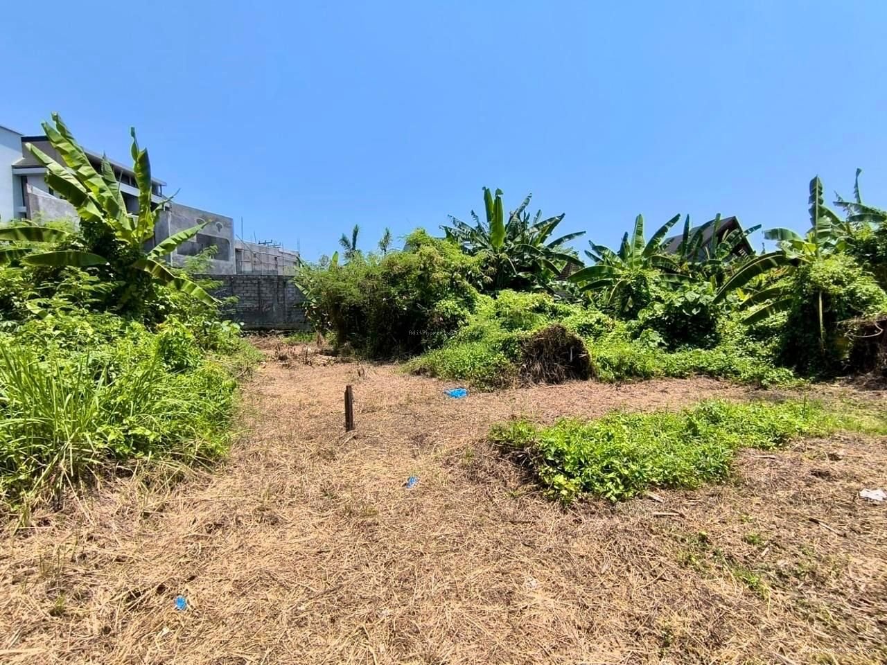 tanah pererenan Cg