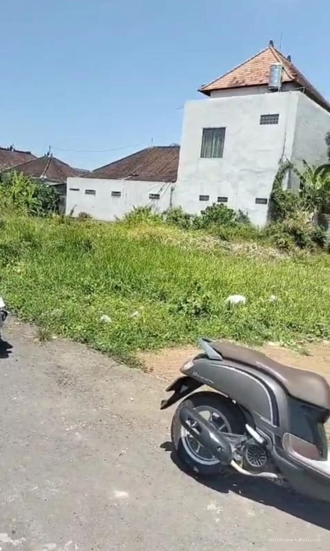 tanah buduk B
