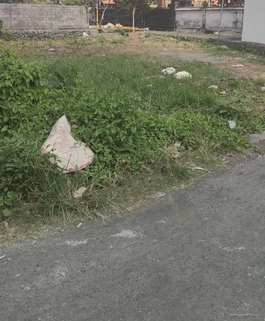 tanah buduk B