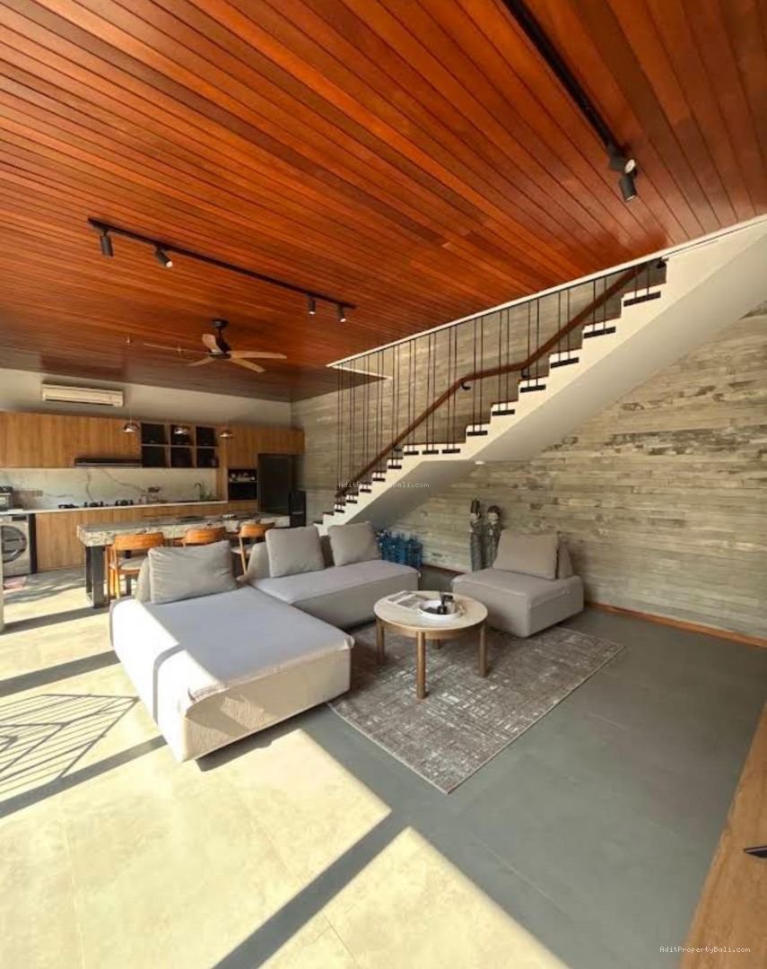 villa seminyak S